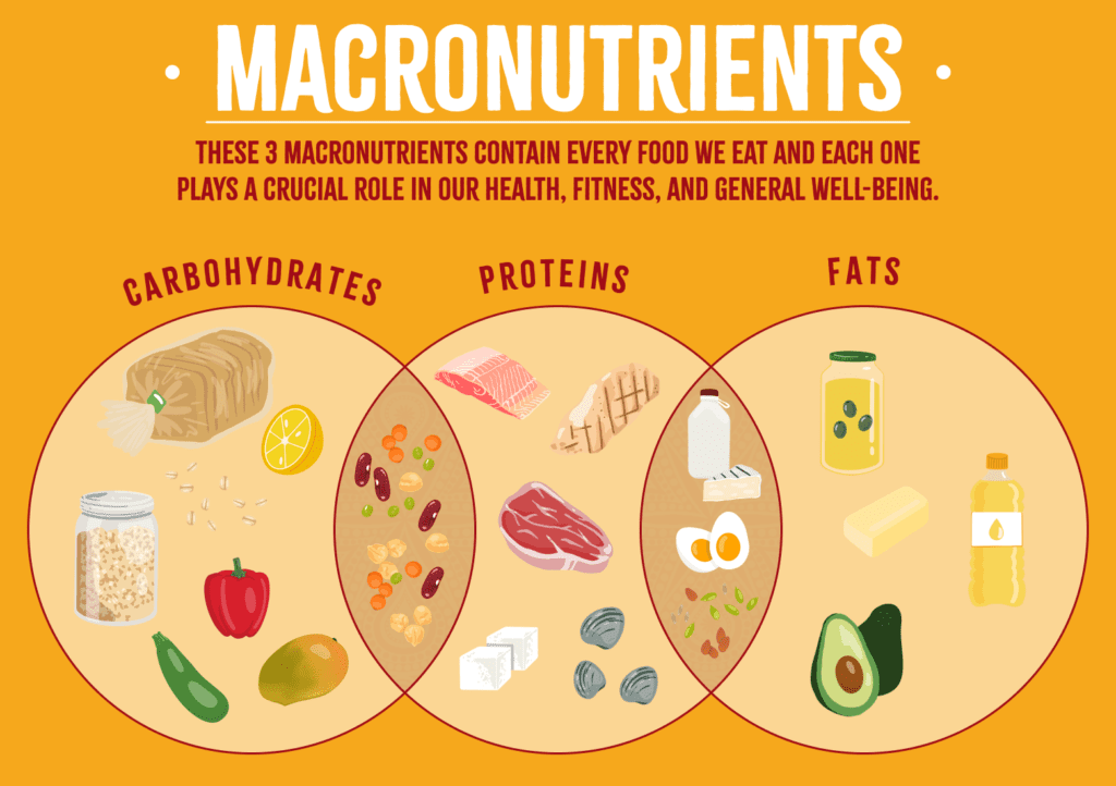 Caloric intake and macronutrients