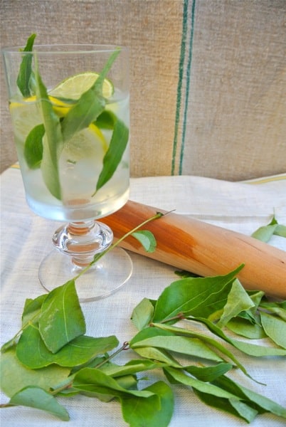 vodka tonic with curry leaves 