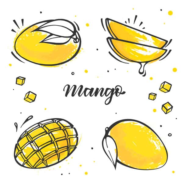 A simple illustration showing different ways of cutting a mango