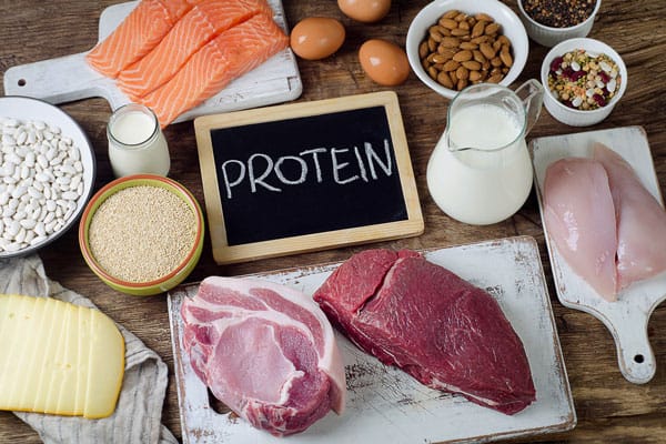 Protein source food