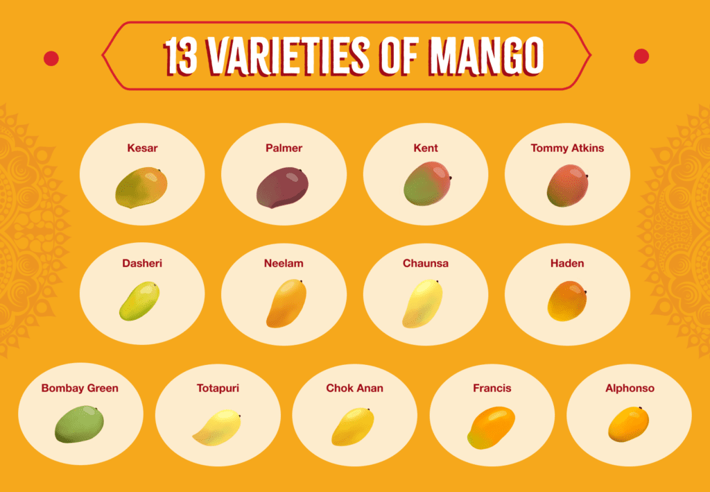 types of mangoes and mango varieties | sukhi's