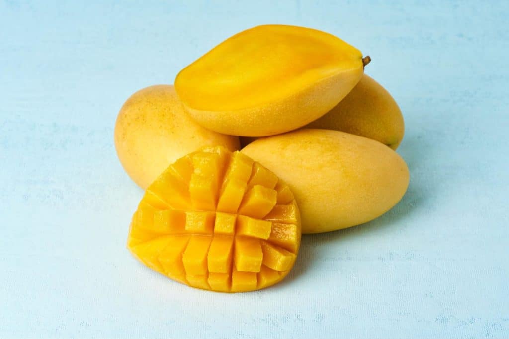 juicy indian mangoes