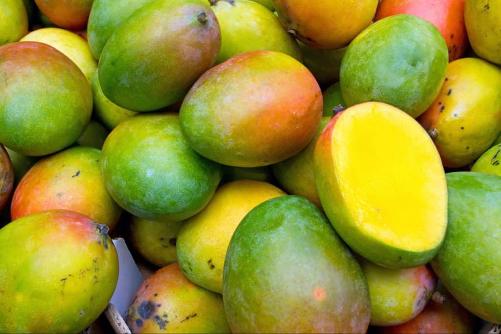 tommy atkins is one of the different types of mangoes